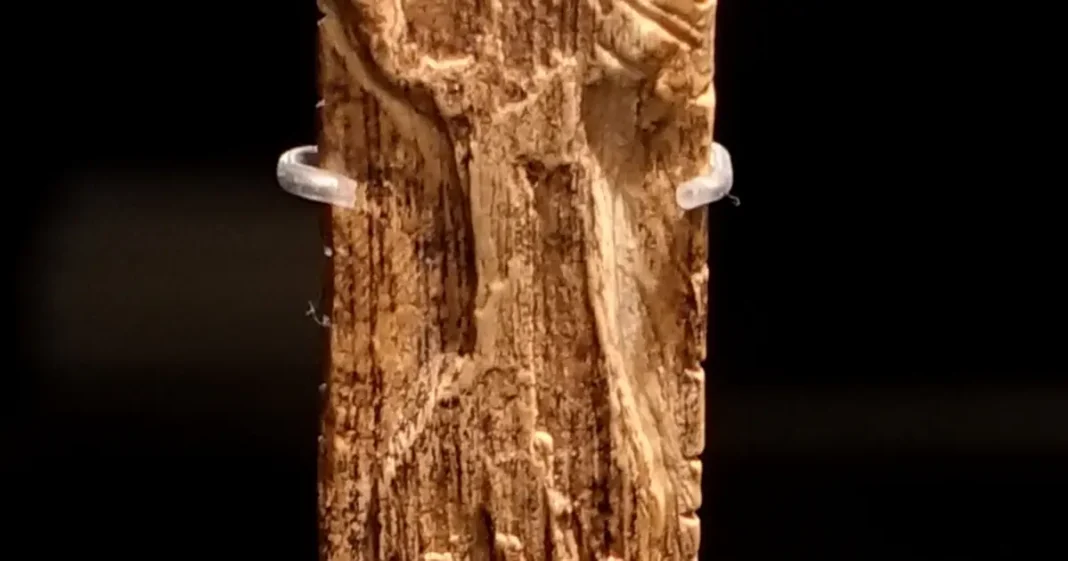 Na figuricama iz Njemačke, koje su stare 40.000 godina, nađeni znakovi koji nalikuju pismu Na figuricama iz Njemačke, koje su stare 40.000 godina, nađeni znakovi koji nalikuju pismu