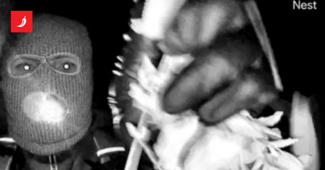 Policija ušla u trag otmičaru američke TV voditeljice. Pronašli DNK na rukavici