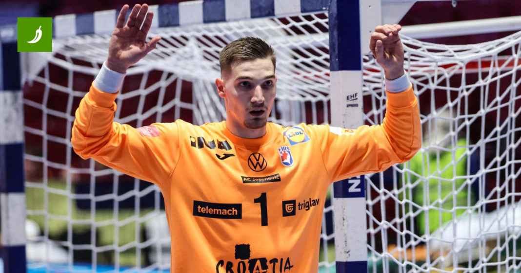 Problemi za Hrvatsku uoči borbe za broncu. Reprezentaciju poharala viroza