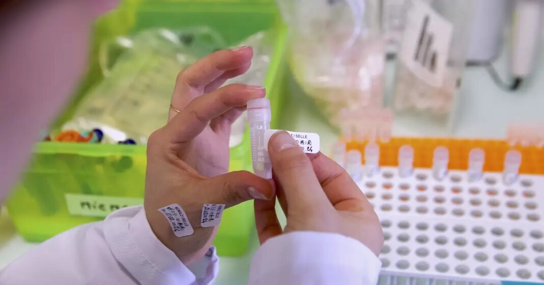 Šokantno otkriće! Ova bakterija otporna je na deset antibiotika: ‘Predstavlja nam i prijetnju…’