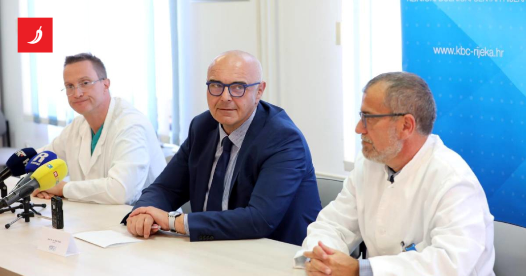 Sutra saslušanje Alena Ružića na zajedničkoj sjednici triju odbora