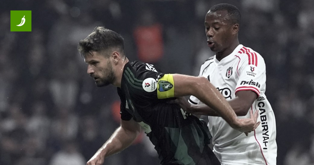 Turci napali Petkovića: Samo priča, ništa ne radi