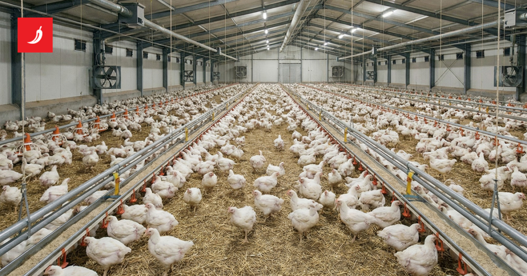 Tvrtka koja želi graditi farmu pilića u Sisku: Projekt se provodi transparentno