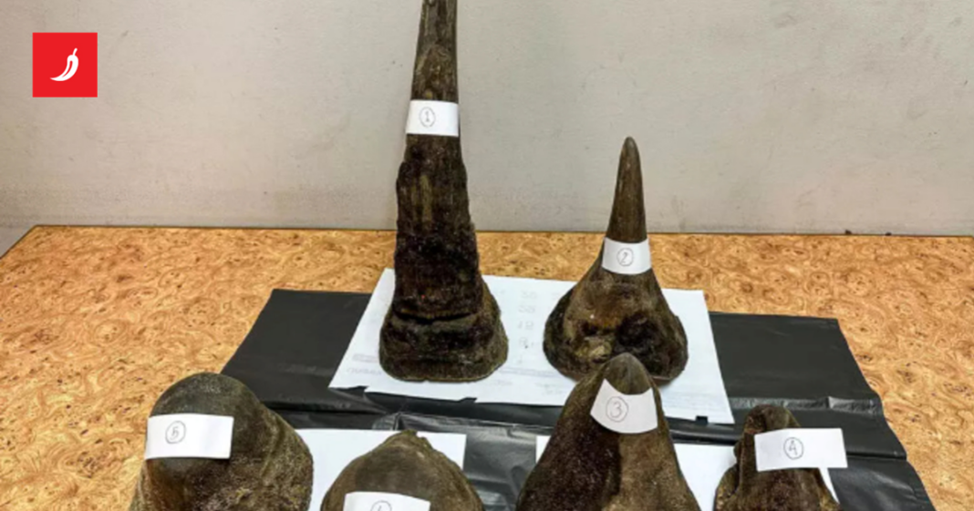 Vijetnamac pokušao prokrijumčariti rogove nosoroga. Sakrio ih u meso