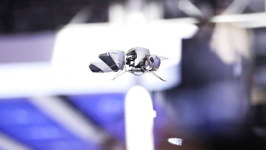 ZBOG NESTANKA OPRAŠIVAČA: Naučnici razvijaju robote-pčele