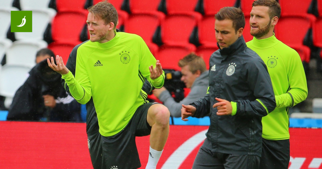 Zajedno su osvojili Svjetsko prvenstvo, a onda uložili u kanabis i zaradili milijune