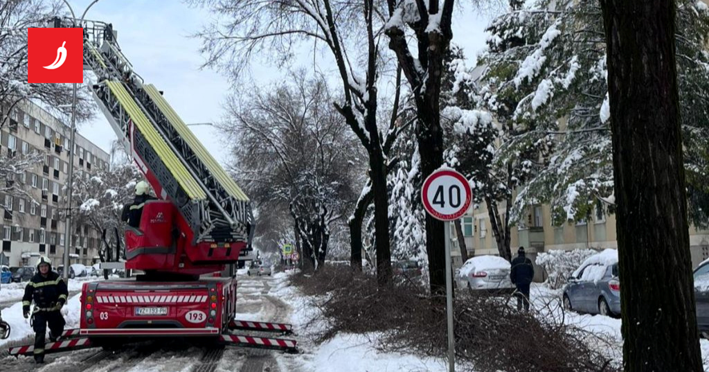 Zbog snijega u Varaždinskoj županiji problemi sa strujom. “Riješeno je 50% kvarova”