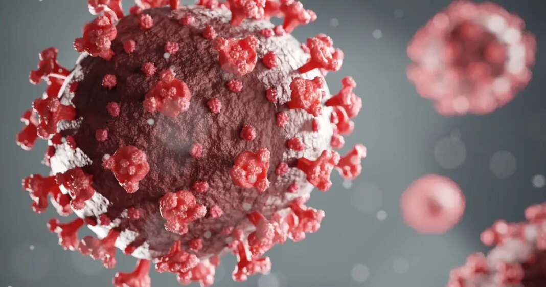 Zombi ostaci covida love u čoporima i ubijaju ključne stanice našeg imuniteta!