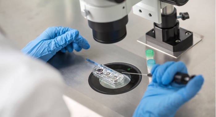 Plodnost na čekanju: Šta kada žene više ne žele svoje zamrznute embrione?