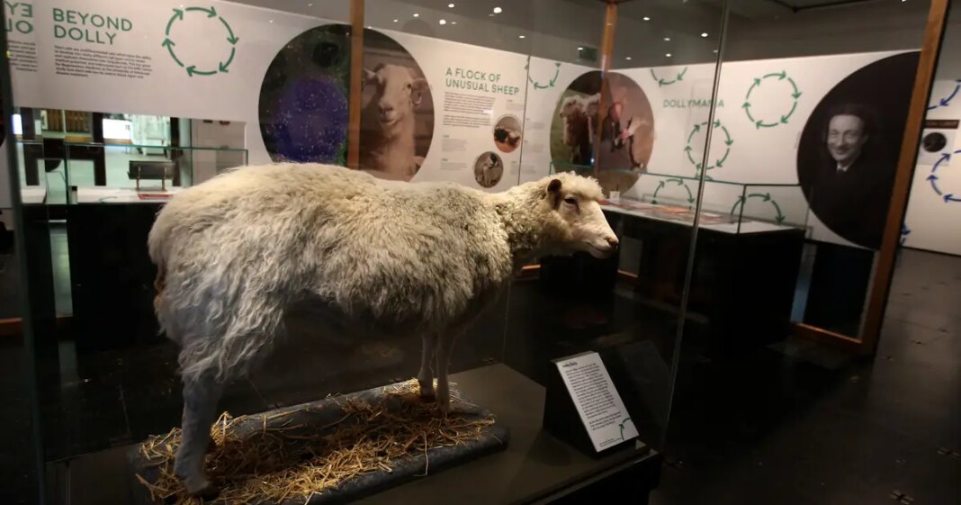 Dolly je bila svjetsko čudo, što sve danas kloniramo?