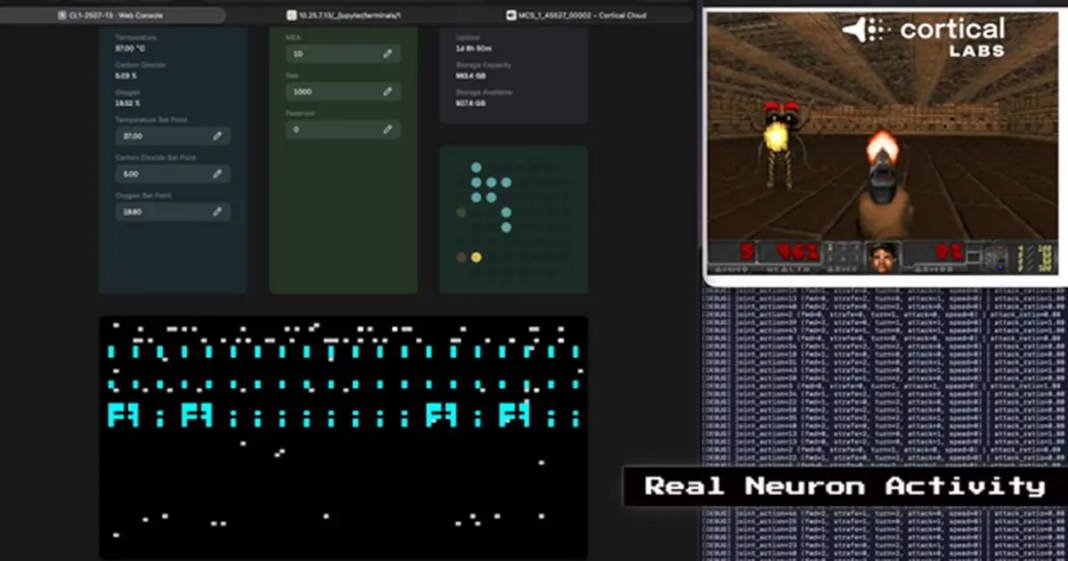 Idu korak dalje: Ljudske moždane stanice koje igraju Doom pokretat će čitave centre Idu korak dalje: Ljudske moždane stanice koje igraju Doom pokretat će čitave centre