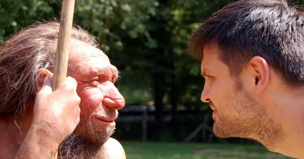 Neandertalska DNK nedostaje na našem X kromosomu. Studija nudi zapanjujuće objašnjenje! Neandertalska DNK nedostaje na našem X kromosomu. Studija nudi zapanjujuće objašnjenje!