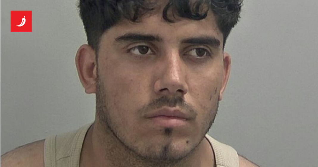 Afganistanac oteo i silovao curicu (12) u Engleskoj. Dobio 15 godina zatvora Afganistanac oteo i silovao curicu (12) u Engleskoj. Dobio 15 godina zatvora