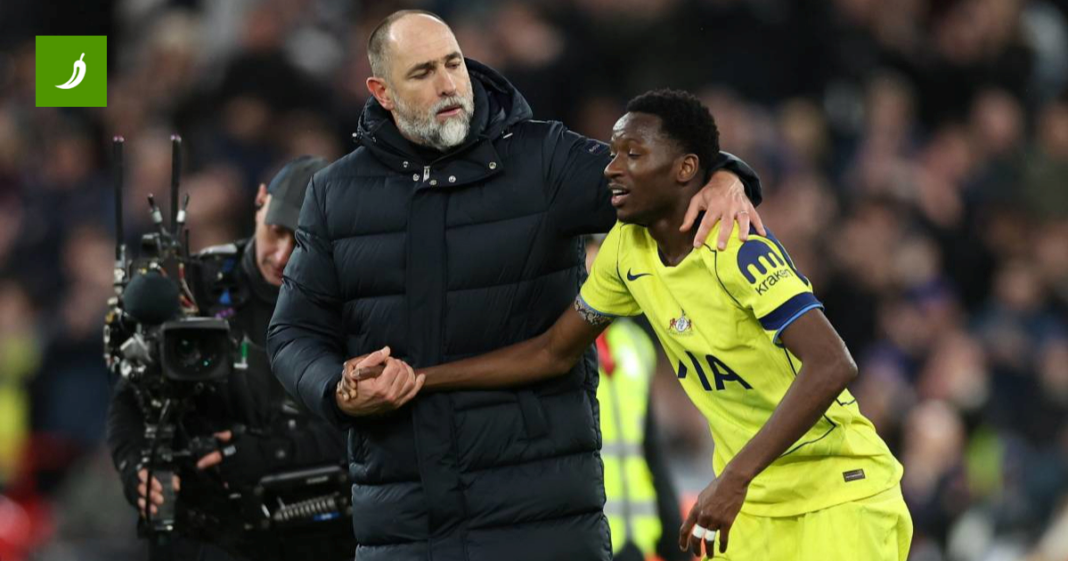 Englezi: Očito je da igrači Tottenhama igraju za svog trenera Englezi: Očito je da igrači Tottenhama igraju za svog trenera