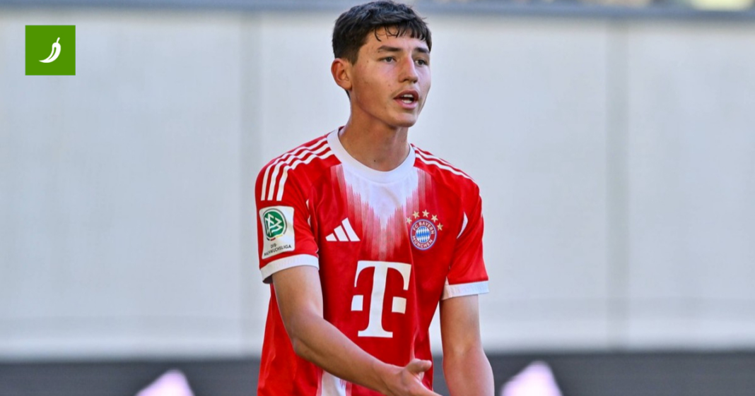 Hrvatska se žestoko bori za 16-godišnjeg dragulja. Večeras je na klupi u Ligi prvaka Hrvatska se žestoko bori za 16-godišnjeg dragulja. Večeras je na klupi u Ligi prvaka