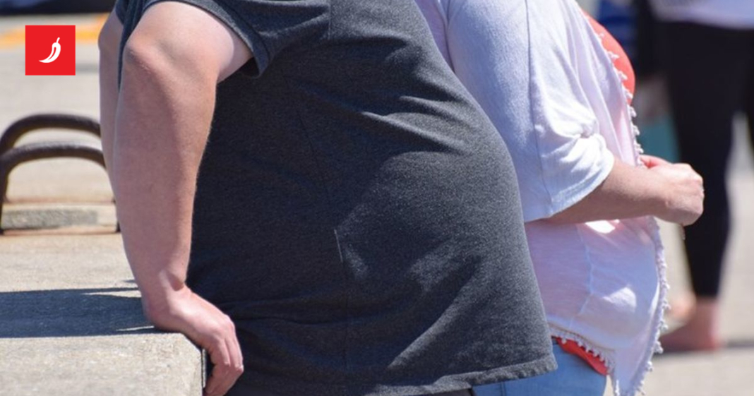 Hrvatsko društvo nutricionista: Trebalo bi nas biti deset puta više Hrvatsko društvo nutricionista: Trebalo bi nas biti deset puta više