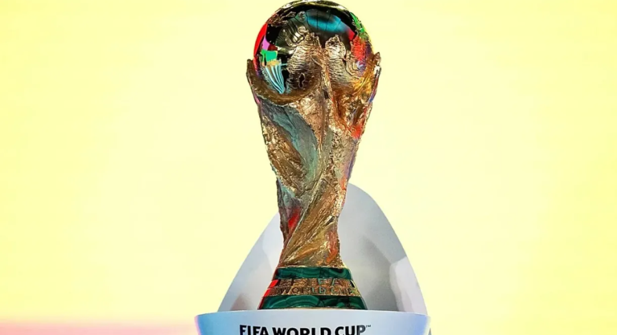 LUDILO KOJE NE POZNAJE GRANICE: Prodao kuću da bi gledao reprezentaciju LUDILO KOJE NE POZNAJE GRANICE: Prodao kuću da bi gledao reprezentaciju