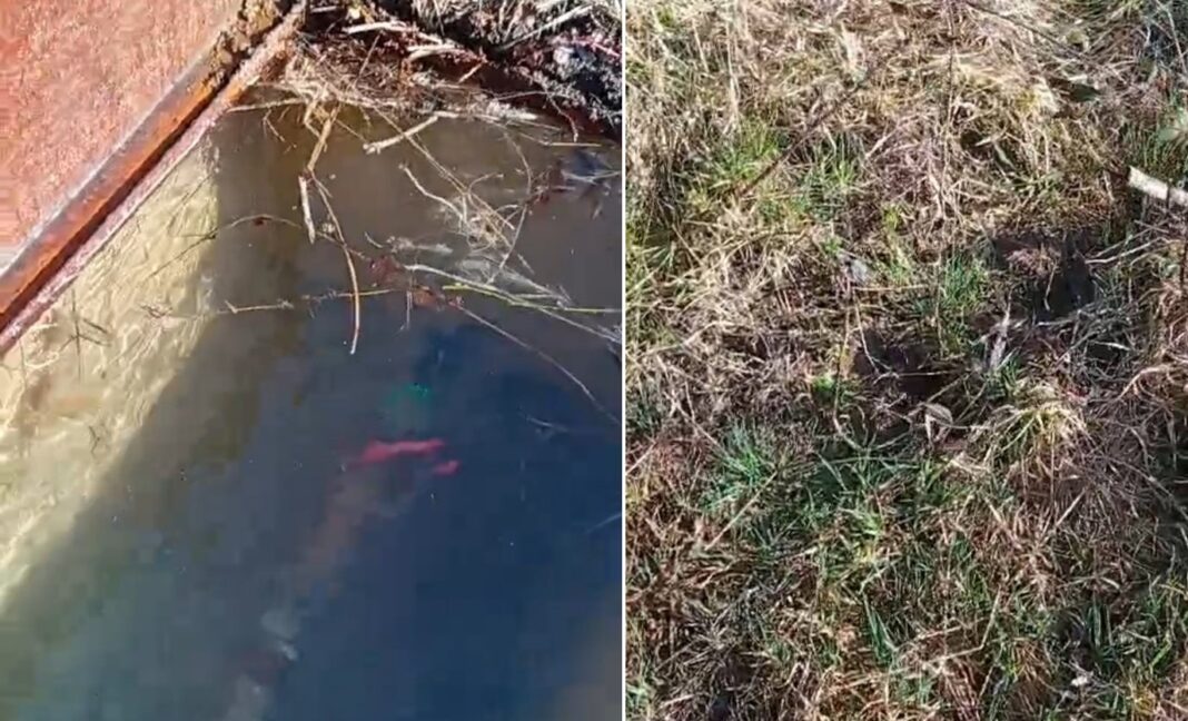 Milioni kubika vode otišli u zemlju: Kvar na vodovodu u Semizovcu niko ne popravlja 15 godina Milioni kubika vode otišli u zemlju: Kvar na vodovodu u Semizovcu niko ne popravlja 15 godina