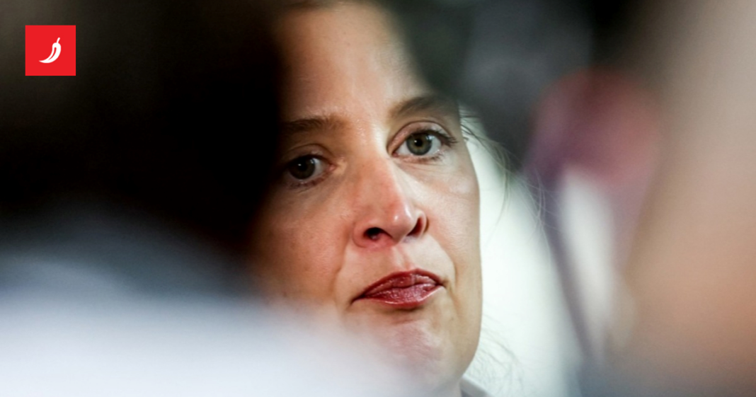 Njemački AfD se distancira od Trumpa uoči ključnih izbora Njemački AfD se distancira od Trumpa uoči ključnih izbora