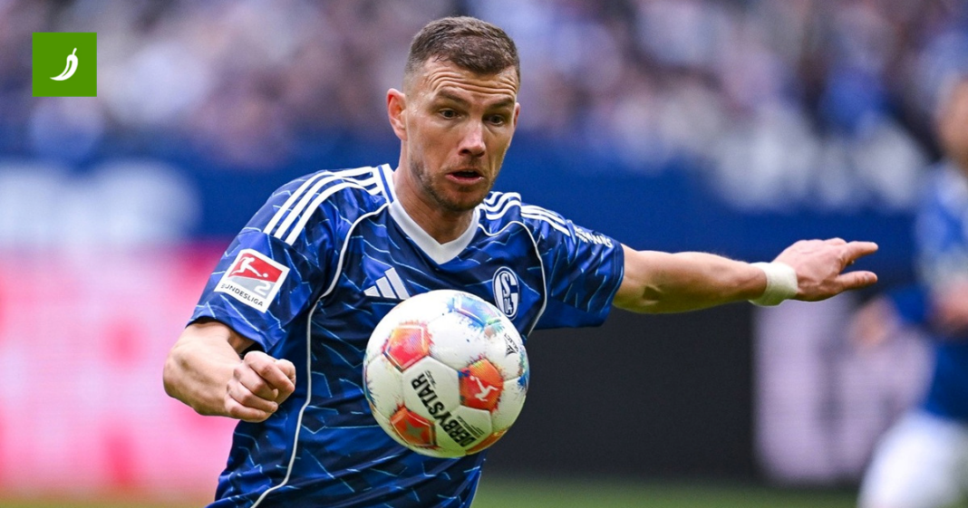 Njemački nogometni savez kaznio Edina Džeku Njemački nogometni savez kaznio Edina Džeku