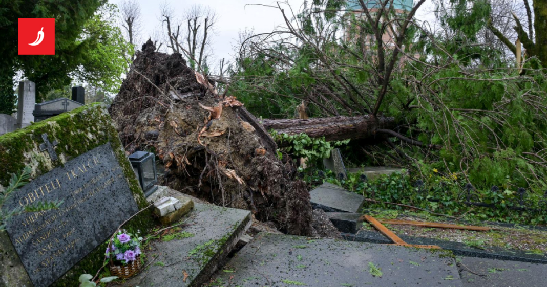 Oluja hara Zagrebom. Stotine stabala pale na ceste, idući sedmica stiže nova oluja? Oluja hara Zagrebom. Stotine stabala pale na ceste, idući tjedan stiže nova oluja?