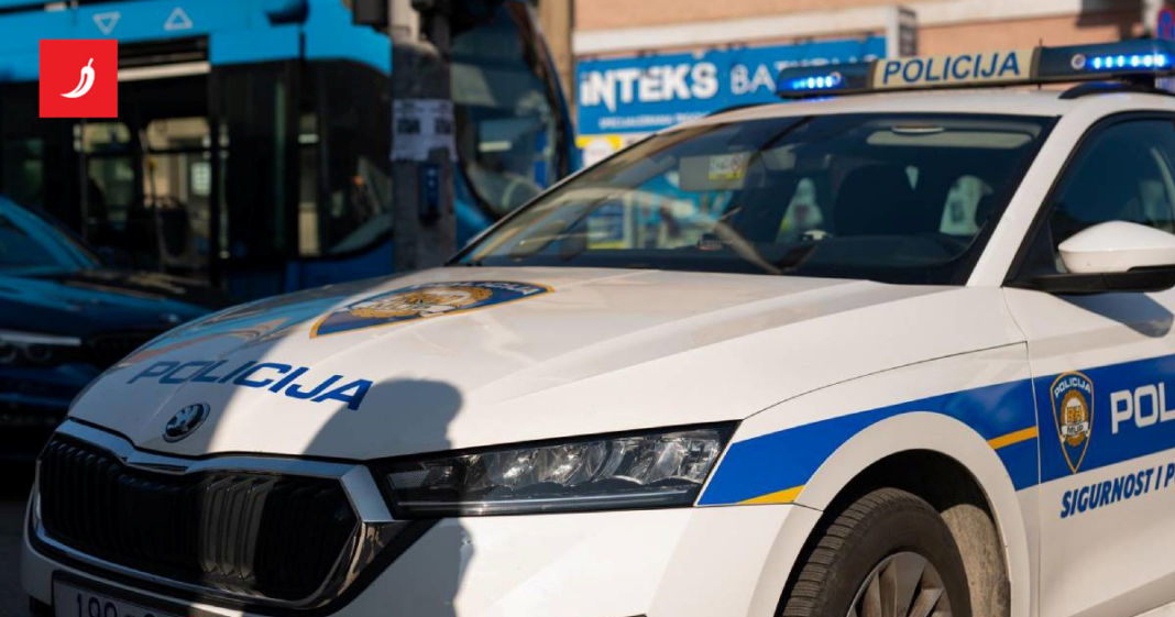 Pijana krala po Zagrebu, napala i vrijeđala policiju. Za njom već bila raspisana tjeralica Pijana krala po Zagrebu, napala i vrijeđala policiju. Za njom već bila raspisana tjeralica