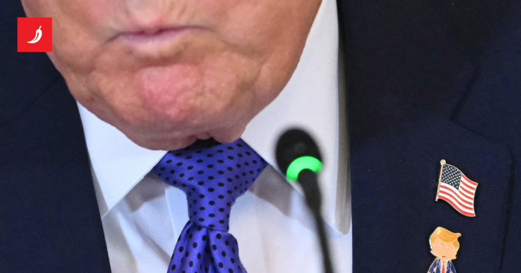 Povjesničarka: Svi osim Trumpa shvaćaju što je napravio Povjesničarka: Svi osim Trumpa shvaćaju što je napravio