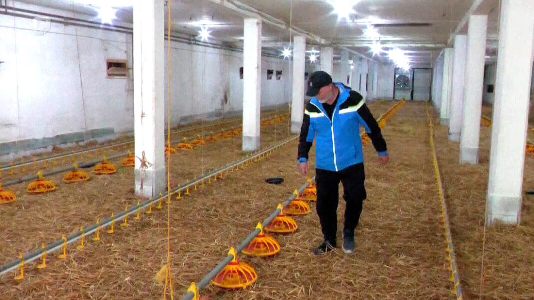 Povratničke farme u Podrinju pred gašenjem, ugrožene desetine radnih mjesta Povratničke farme u Podrinju pred gašenjem, ugrožene desetine radnih mjesta