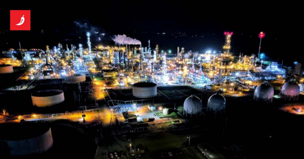 Profesor: Dok Mediteran gori, čeka se da komesarica Šuica dotakne nekog po ramenu Profesor: Dok Mediteran gori, čeka se da komesarica Šuica dotakne nekog po ramenu