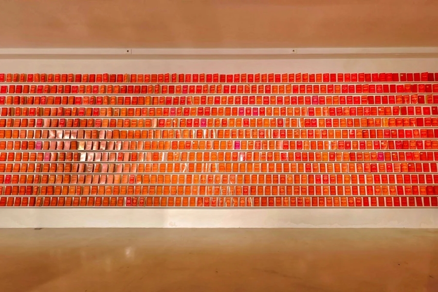 SVETLANA SLAPŠAK O DANAŠNJEM POLITIČKOM LUDILU: ”Rvaćane, ne od lane Oduvijek si ti bez mane’ SVETLANA SLAPŠAK O DANAŠNJEM POLITIČKOM LUDILU: ''Rvaćane, ne od lane Oduvijek si ti bez mane'