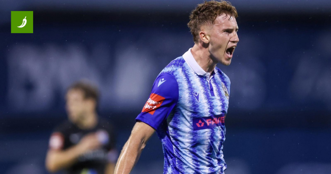 Suigrač oduševljen debijem Krivaka: Očito je da nije Čeh Suigrač oduševljen debijem Krivaka: Očito je da nije Čeh