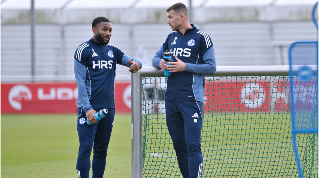 Sylla govori o Schalkeovoj budućnosti – zašto bi Džeko ostao težak ako bi bio unapređen Sylla govori o Schalkeovoj budućnosti - zašto bi Džeko ostao težak ako bi bio unapređen