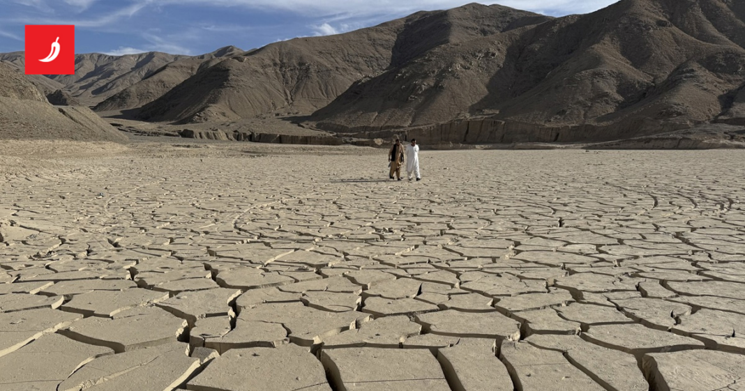 Toplinski valovi sve brže uzrokuju razorne suše diljem svijeta Toplinski valovi sve brže uzrokuju razorne suše diljem svijeta