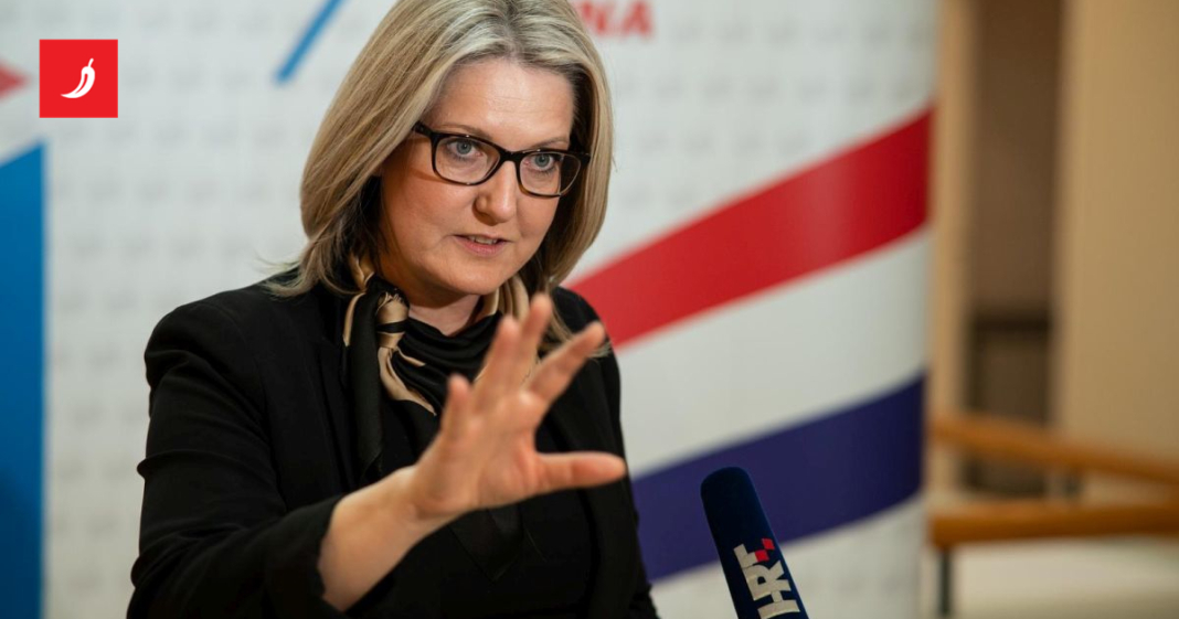 Zastupnica vladi Srbije: Od 2011. niste značajnije povećali sredstva za manjine Zastupnica vladi Srbije: Od 2011. niste značajnije povećali sredstva za manjine