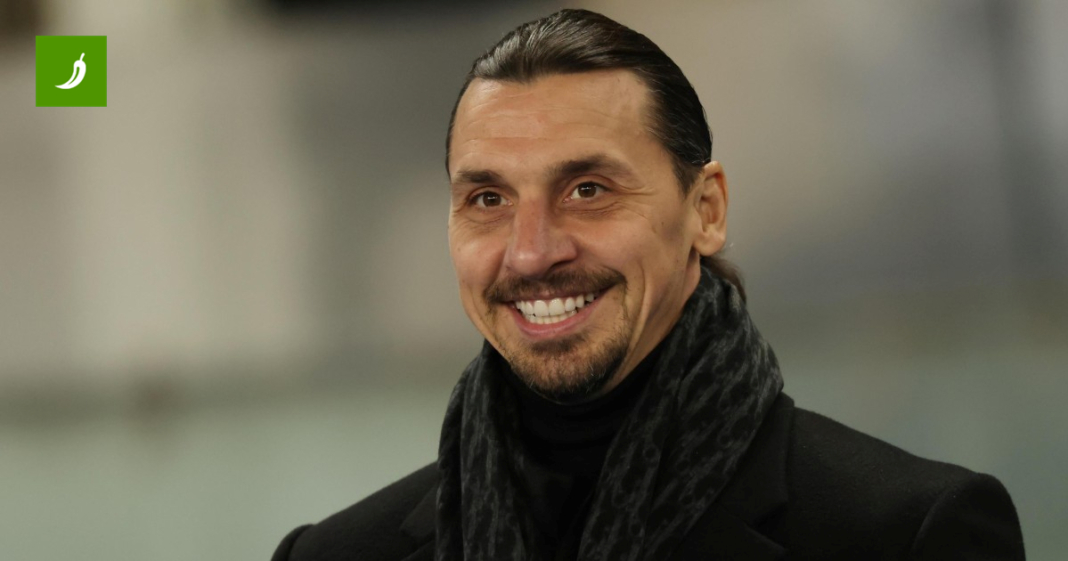 Zlatan Ibrahimović ima novi posao Zlatan Ibrahimović ima novi posao