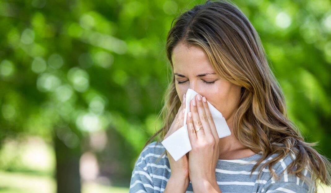 Sezona polena počinje: Ljekari upozoravaju na simptome proljetnih alergija Sezona polena počinje: Ljekari upozoravaju na simptome proljetnih alergija