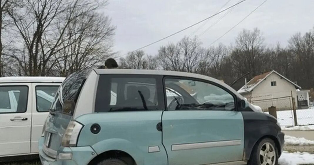 Kupili 16-godišnjem sinu auto za školu, društvene mreže gore Kupili 16-godišnjem sinu auto za školu, društvene mreže gore