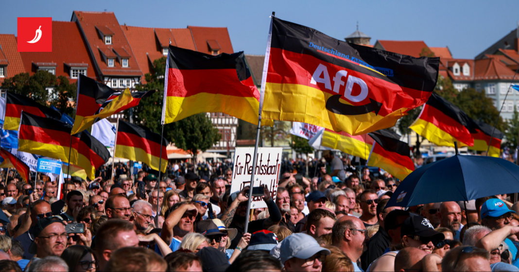 AfD prvi put vodi u ZDF-ovoj anketi AfD prvi put vodi u ZDF-ovoj anketi