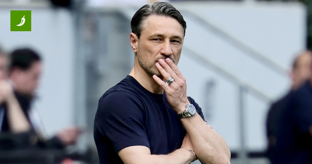 Bild: Tko sada pili granu na kojoj sjedi Kovač, taj je poludio Bild: Tko sada pili granu na kojoj sjedi Kovač, taj je poludio