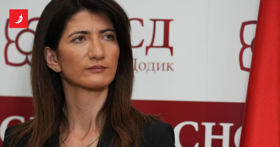 HDZ-ovka iz BiH: Navijat ću za reprezentaciju BiH ogrnuta zastavom Hrvata HDZ-ovka iz BiH: Navijat ću za reprezentaciju BiH ogrnuta zastavom Hrvata