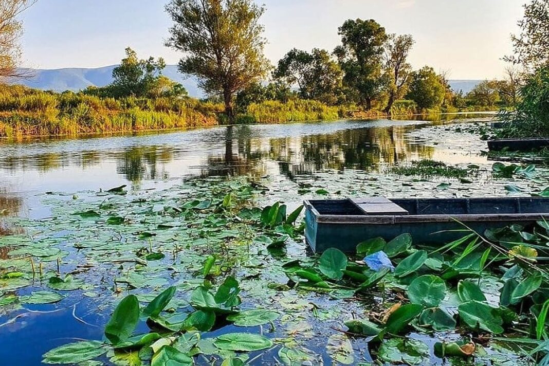 Hutovo blato u opasnosti, a čuva više ugljika nego sve bh. šume Hutovo blato u opasnosti, a čuva više ugljika nego sve bh. šume