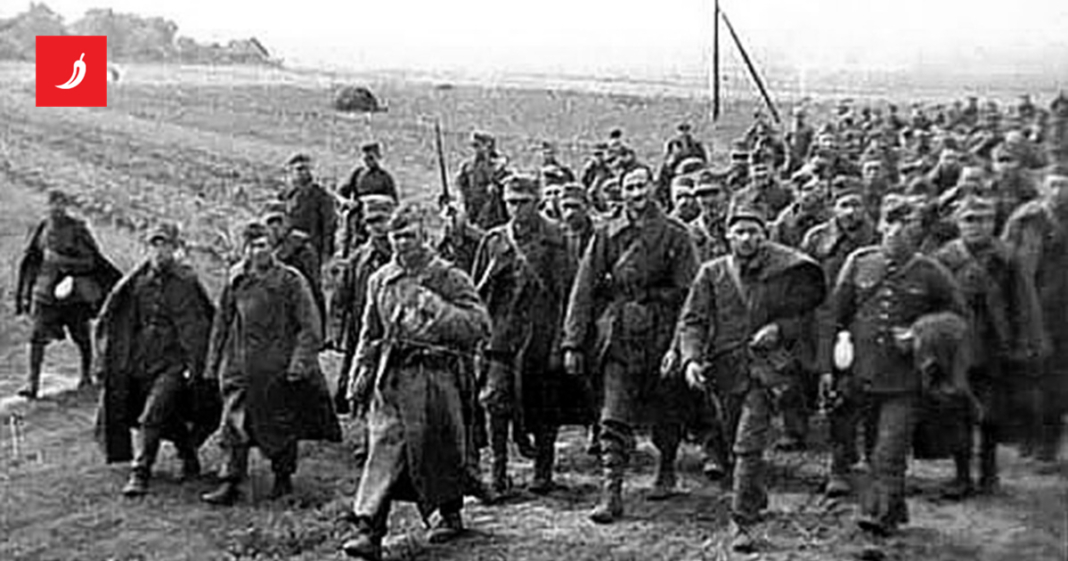 Kako je Staljin naredio likvidaciju poljske inteligencije pa za sve okrivio naciste Kako je Staljin naredio likvidaciju poljske inteligencije pa za sve okrivio naciste