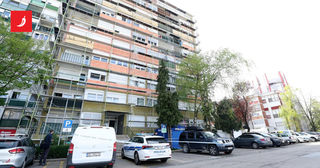 Majka se bacila sa zgrade u Velikoj Gorici. U stanu nađena ubijena kći (17) Majka se bacila sa zgrade u Velikoj Gorici. U stanu nađena ubijena kći (17)