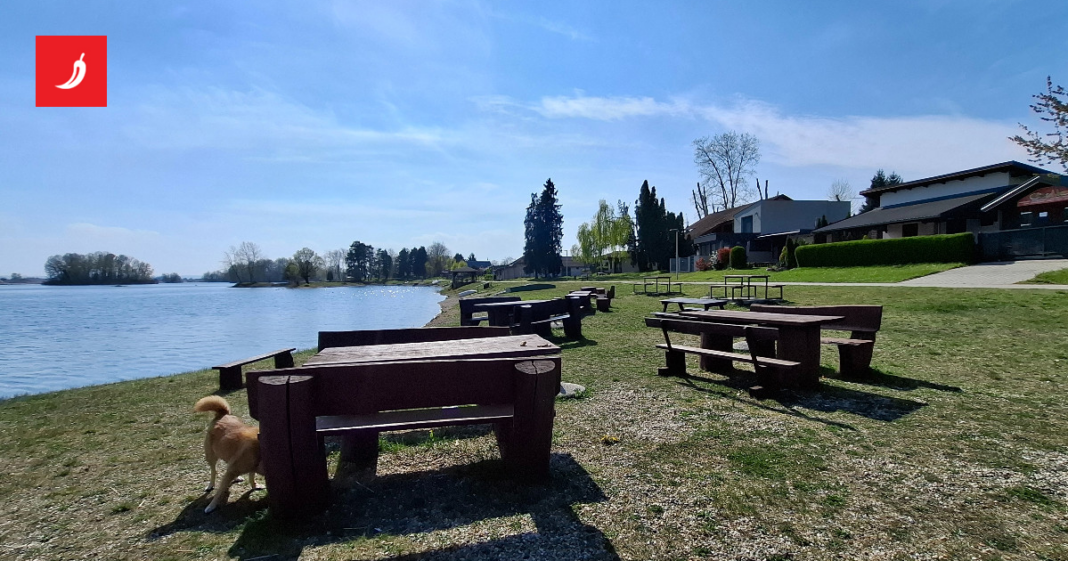 Najavljena revitalizacija nekad popularnog kupališta na Dravi Najavljena revitalizacija nekad popularnog kupališta na Dravi