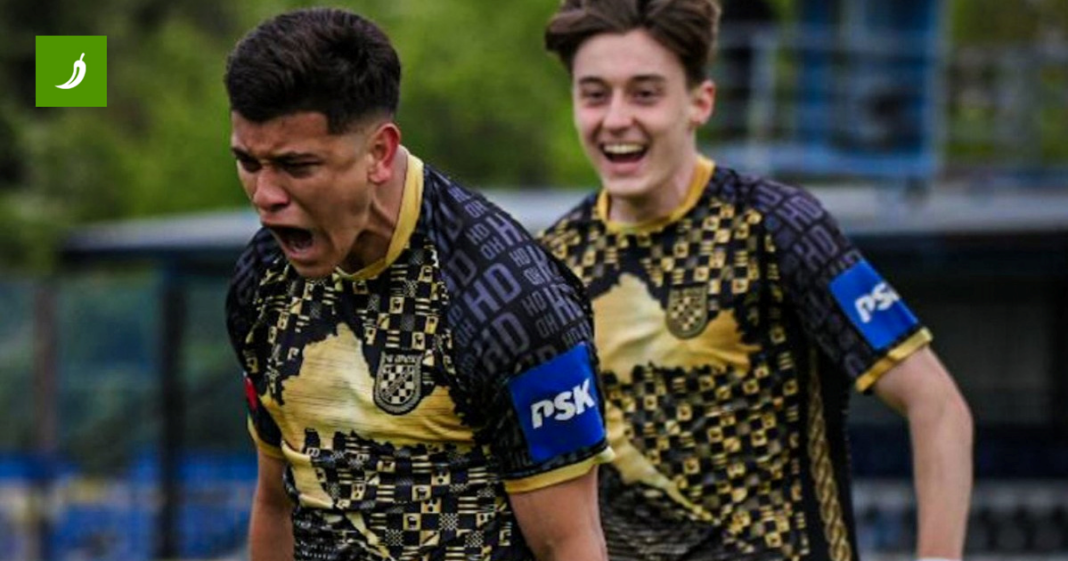 Nesvakidašnji rezultat u 2. NL. Predzadnji Hrvatski dragovoljac utrpao šest komada Nesvakidašnji rezultat u 2. NL. Predzadnji Hrvatski dragovoljac utrpao šest komada