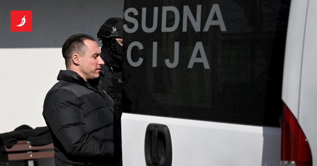 Novo suđenje Srđanu Mlađanu za poticanje na otmicu i ubojstvo Novo suđenje Srđanu Mlađanu za poticanje na otmicu i ubojstvo