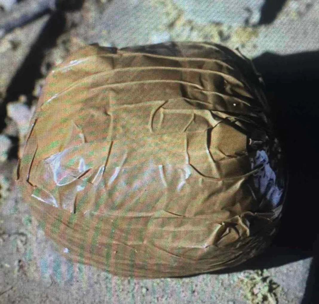 Pala velika droga u Makarskoj: Zaplijenjeno 29 kg, pronađena bomba i 57.000 eura Pala velika droga u Makarskoj: Zaplijenjeno 29 kg, pronađena bomba i 57.000 eura