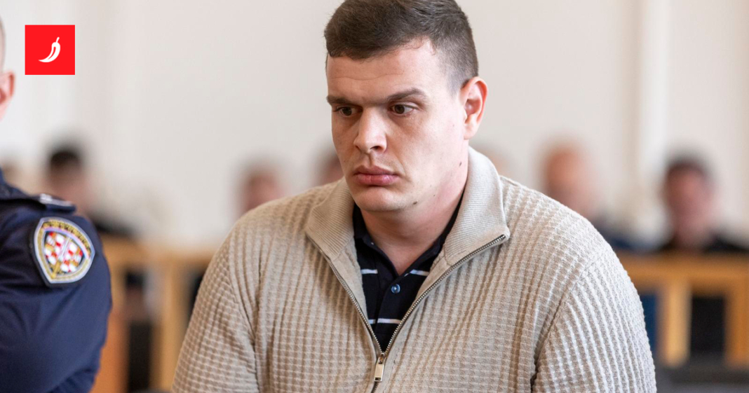 Roditelji ubijene Mihaele: “Patolog nam je rekao da je to klasično ubojstvo” Roditelji ubijene Mihaele: "Patolog nam je rekao da je to klasično ubojstvo"