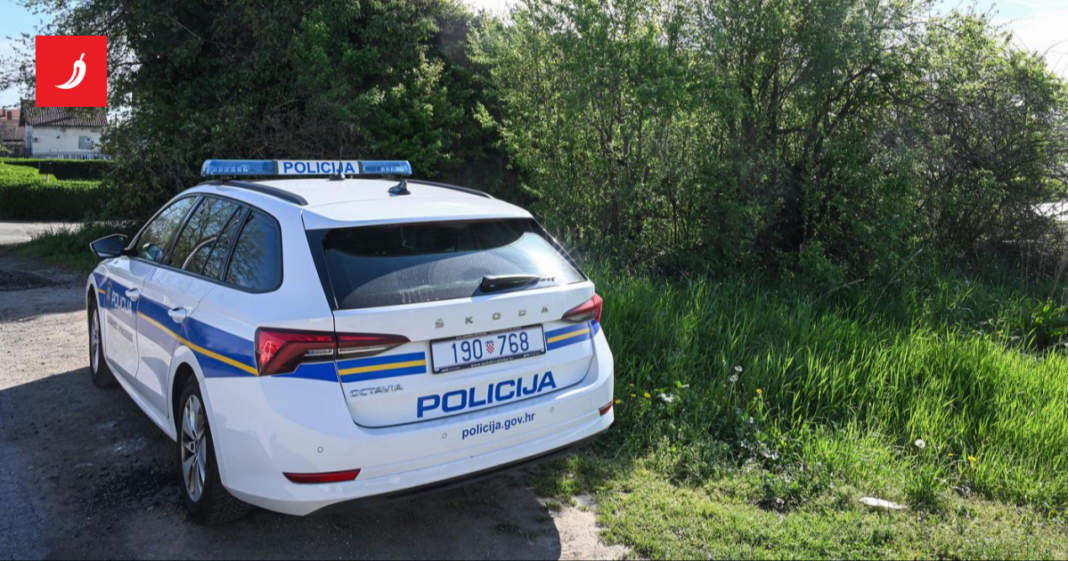 Trojica s pištoljima upala u kuću u Zagrebu. Maloljetnik obranio obitelj Trojica s pištoljima upala u kuću u Zagrebu. Maloljetnik obranio obitelj