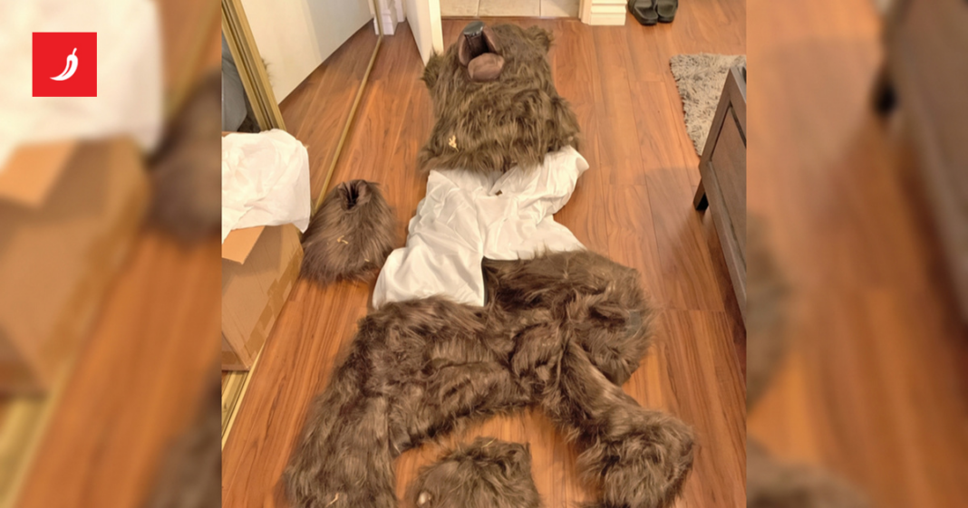 Uz pomoć kostima medvjeda pokušali prevariti osiguranja u Kaliforniji. Osuđeni su Uz pomoć kostima medvjeda pokušali prevariti osiguranja u Kaliforniji. Osuđeni su